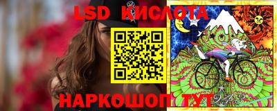 гидропоника Берёзовский