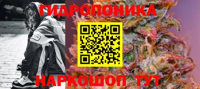 гидропоника Берёзовский