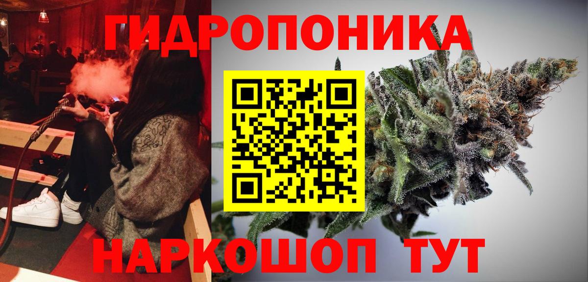 Каннабис план  Вход с VPN  Канабис SATIVA & INDICA  Шишки марихуана Ganja  Клин 